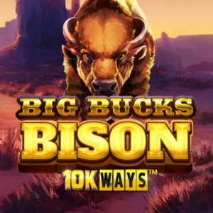 Big Bucks Bison 10K Ways